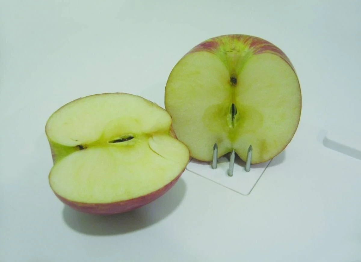 Food Workstation - Image 3