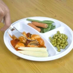 Menu Portioned Plate