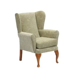 Queen Anne Fireside Chair Biscuit