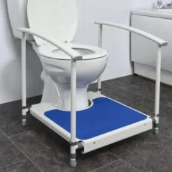 Toilet Platform With Handrails