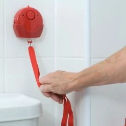 Wall Mounted Panic Alarm